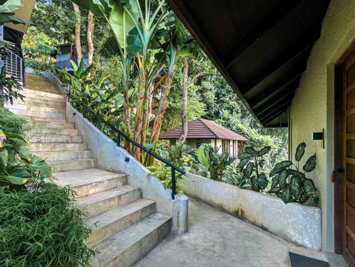 Perch El Nido'S Seaview Villas Overlooking Marimegmeg Екстер'єр фото