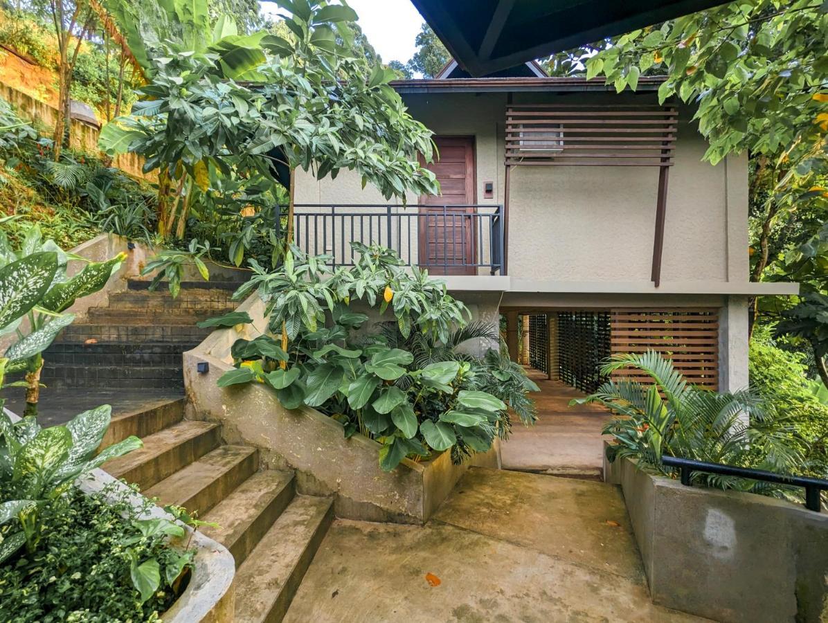 Perch El Nido'S Seaview Villas Overlooking Marimegmeg Екстер'єр фото