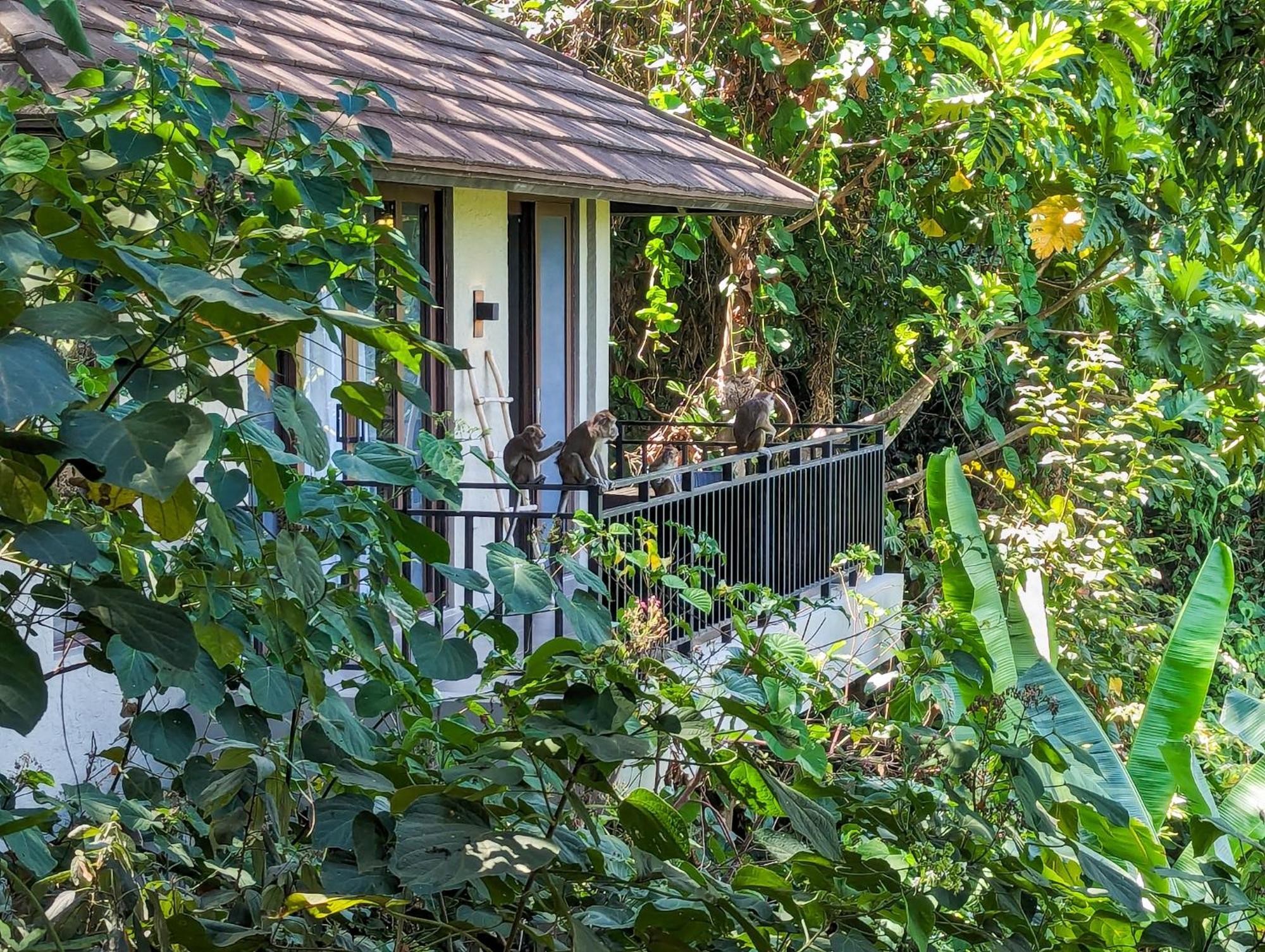 Perch El Nido'S Seaview Villas Overlooking Marimegmeg Екстер'єр фото