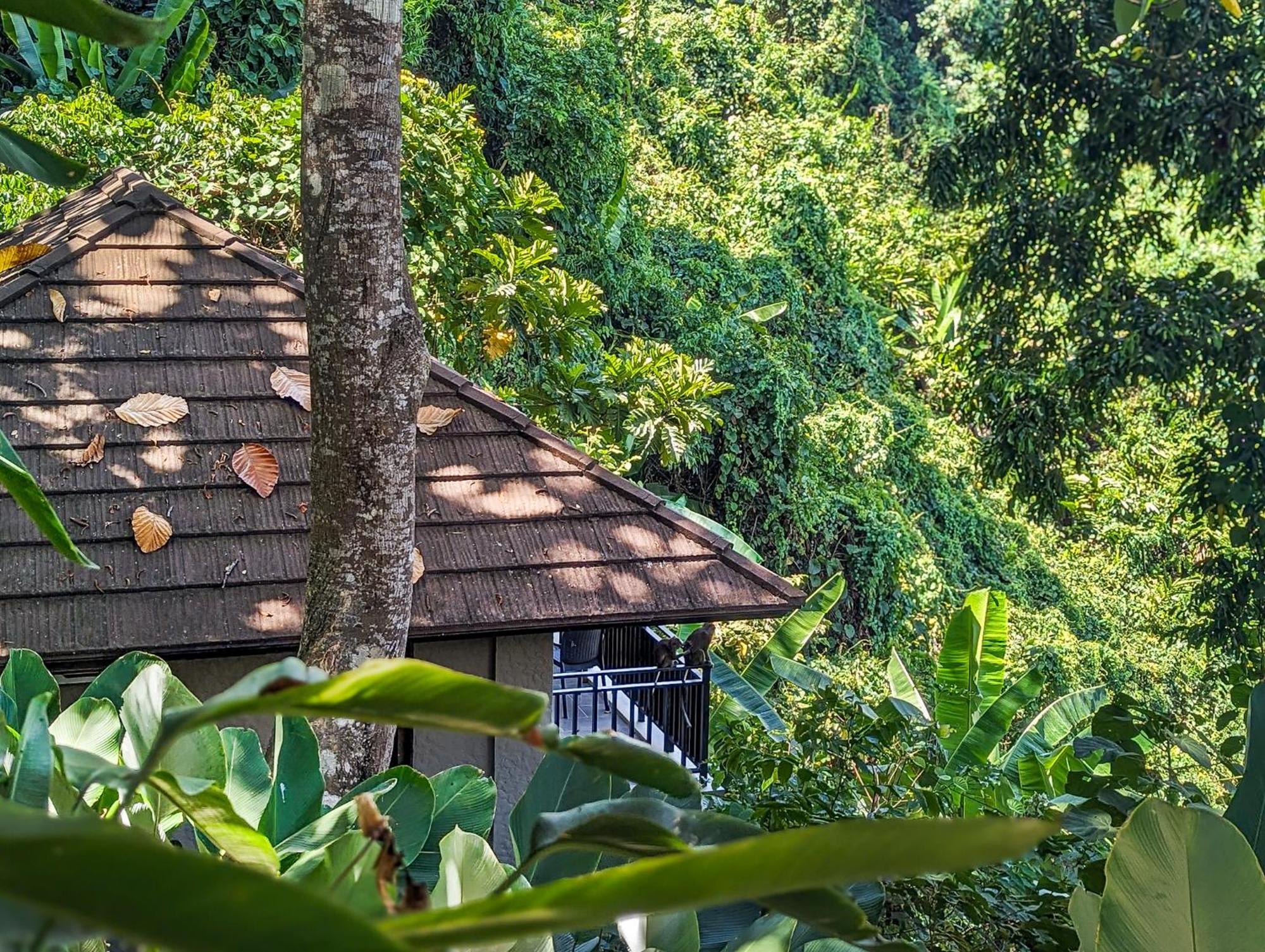 Perch El Nido'S Seaview Villas Overlooking Marimegmeg Екстер'єр фото