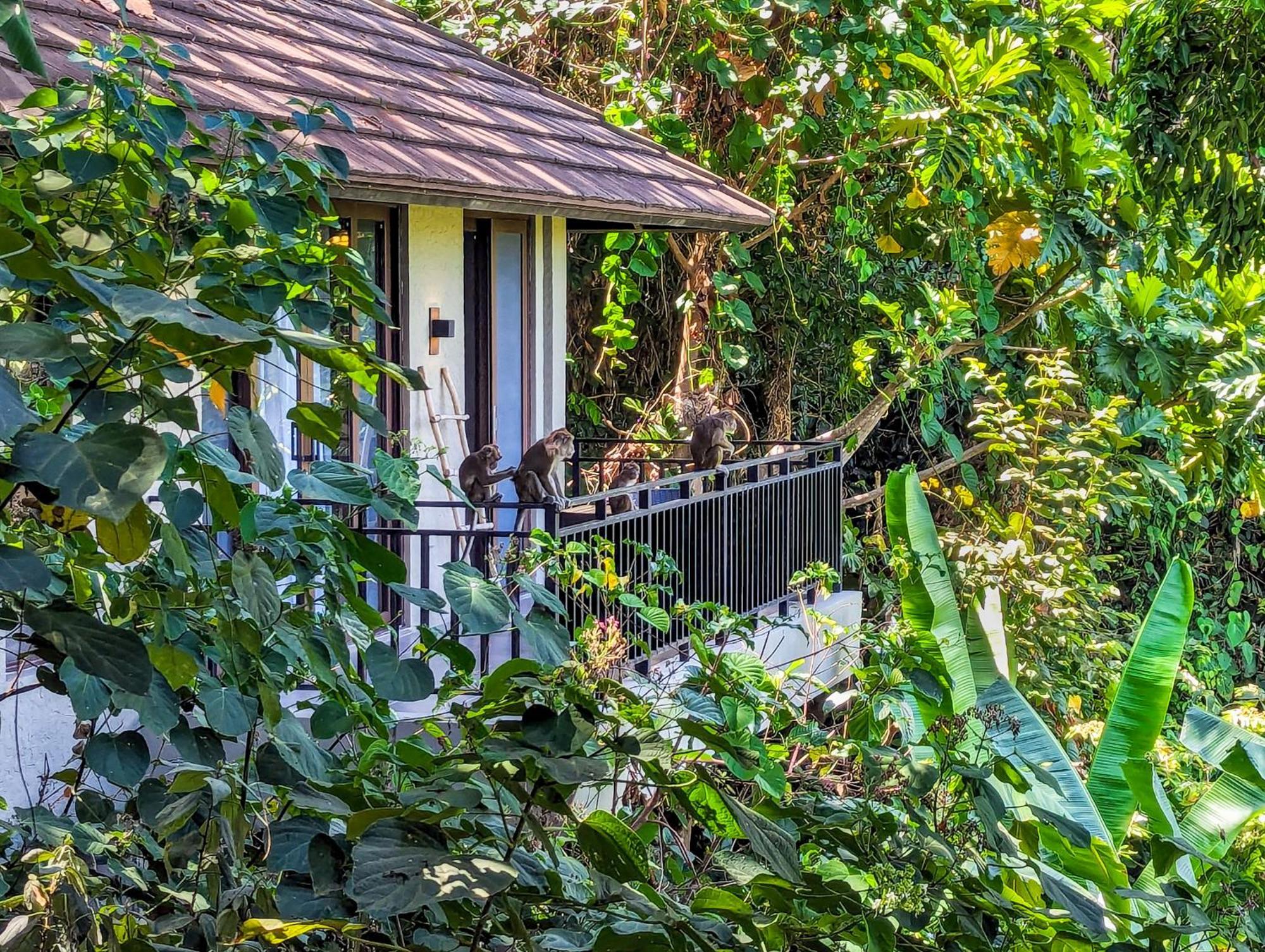 Perch El Nido'S Seaview Villas Overlooking Marimegmeg Екстер'єр фото
